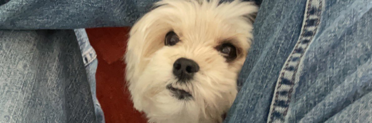 NguyenHadley's profile banner image