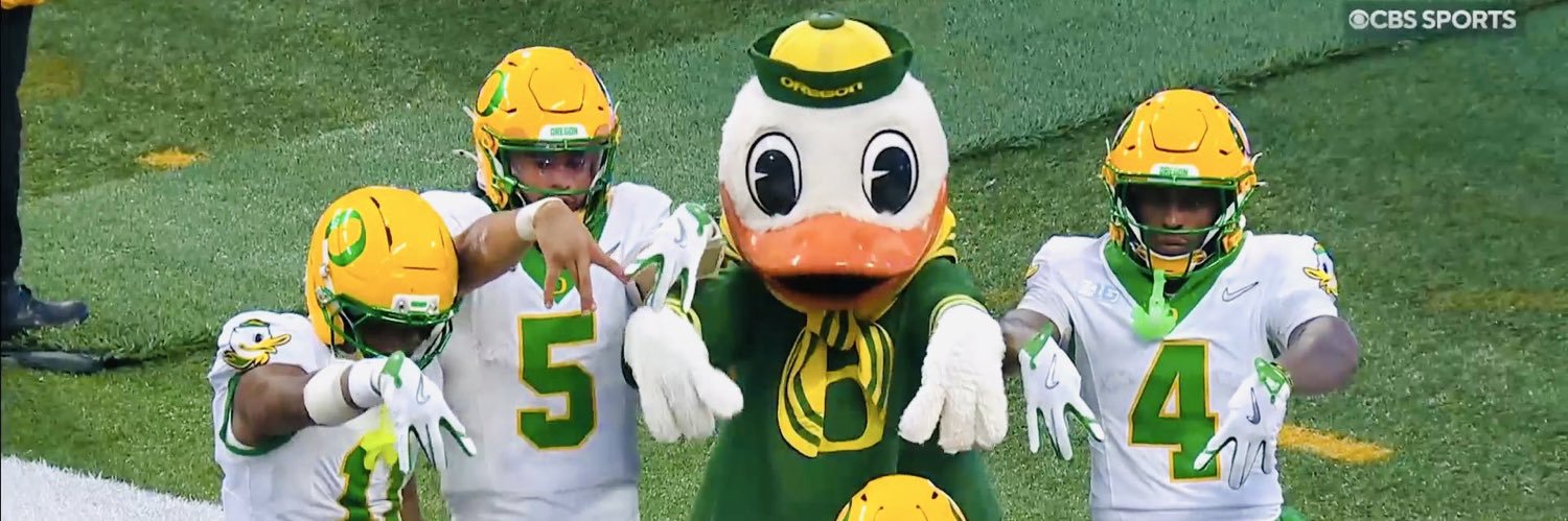 Sad Mariner Duck banner