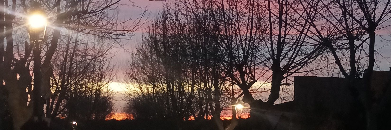 Alex ✧⁠*｡ banner