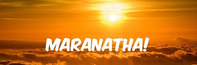 Judy Williams banner