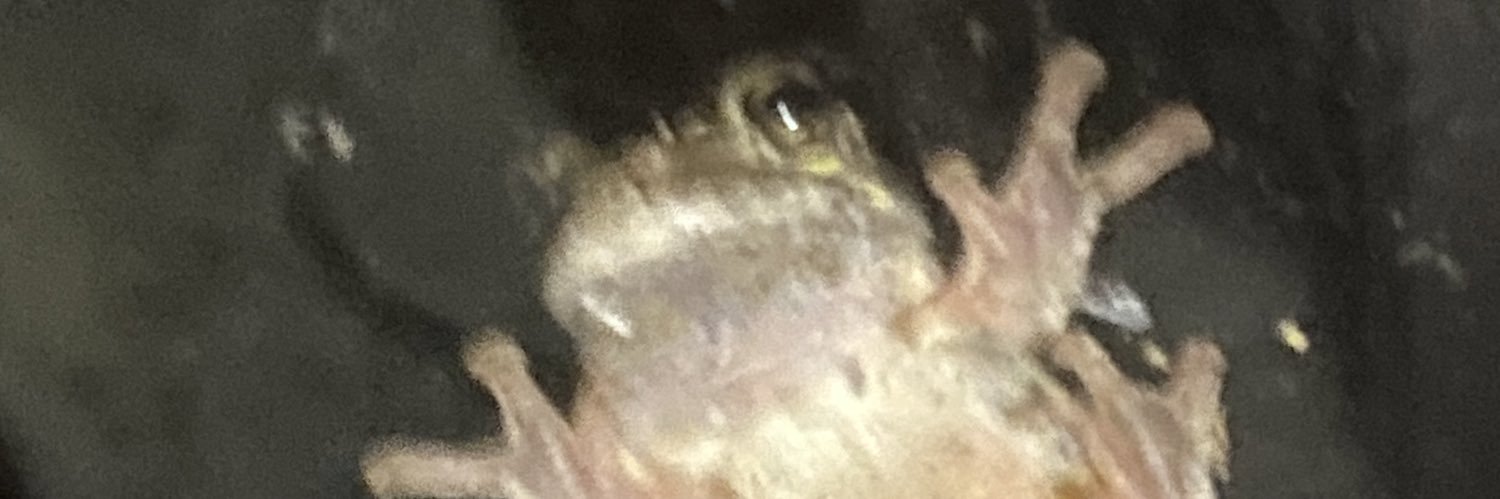CosmicBubbl's profile banner image