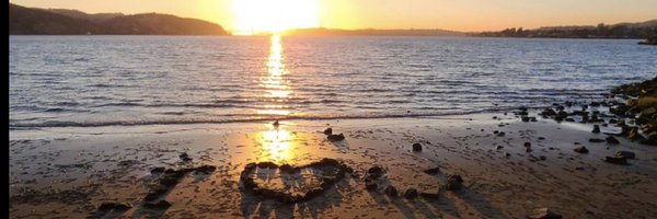 XRPxxxxSUN Profile Banner