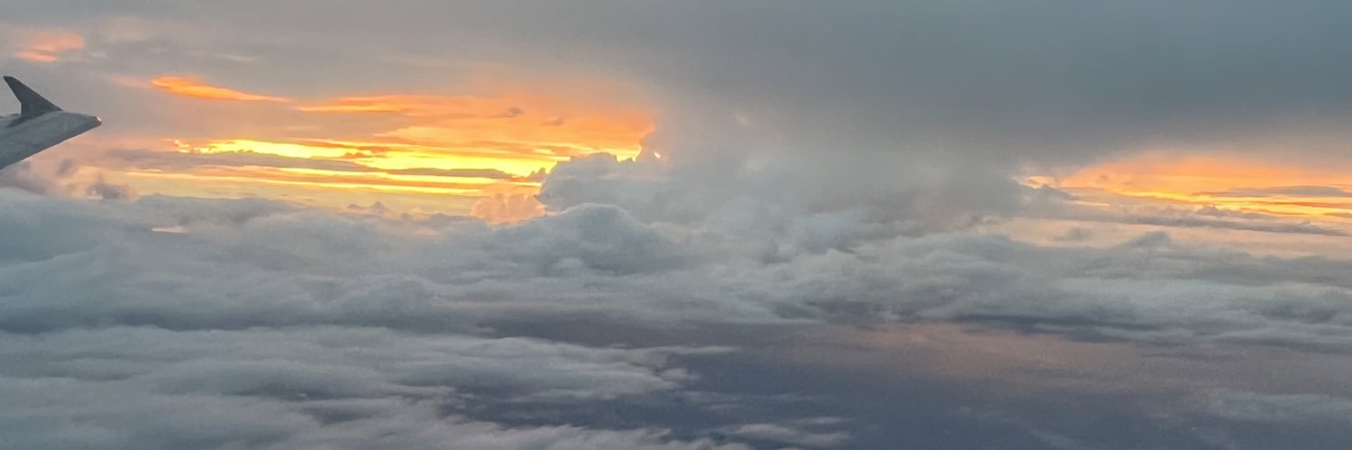 J🌻🦁🤎⚡️ banner