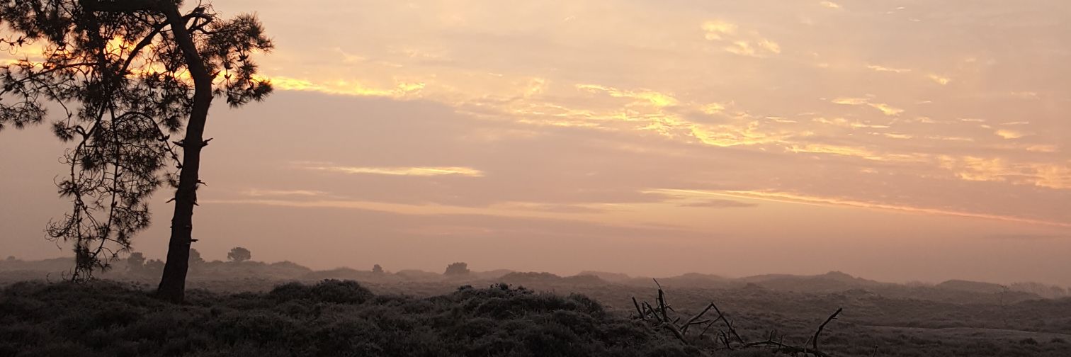 marjanna v.d. meulen banner