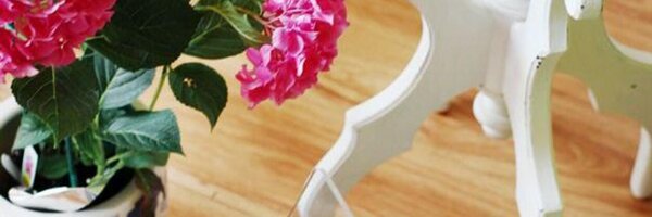 SocialPacific Profile Banner