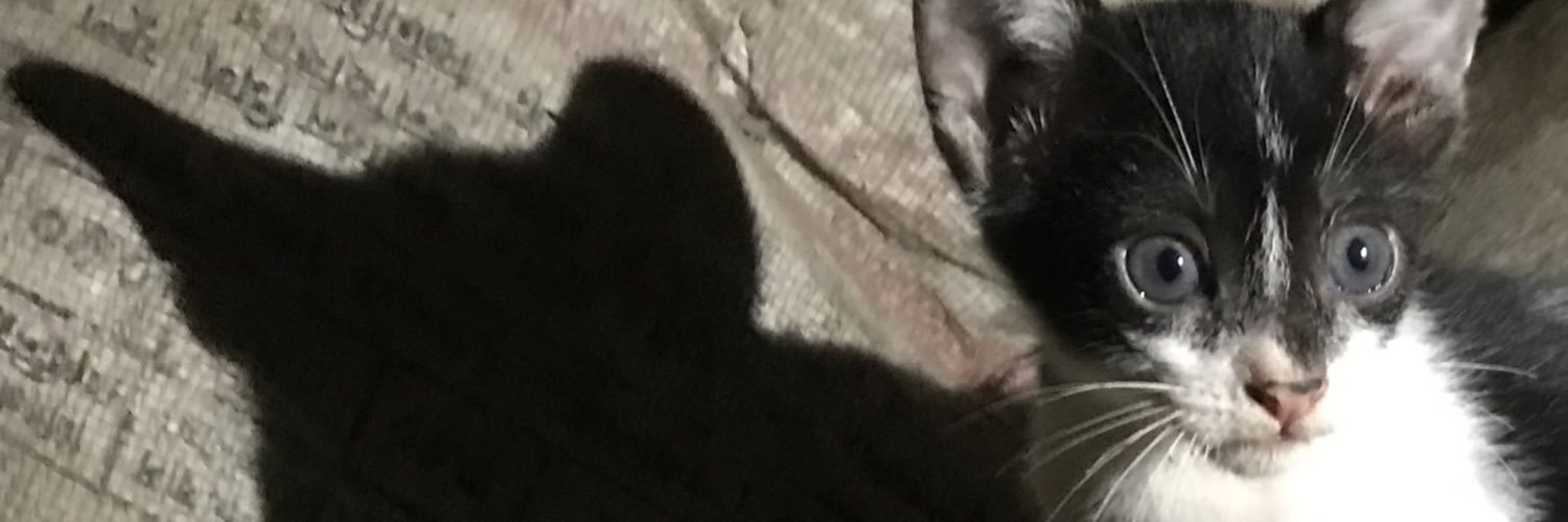 Noormd77's profile banner image