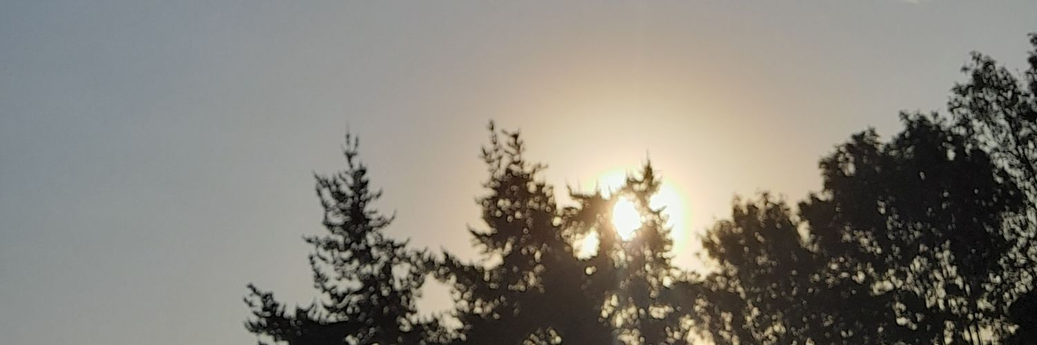 annxtalia's profile banner image