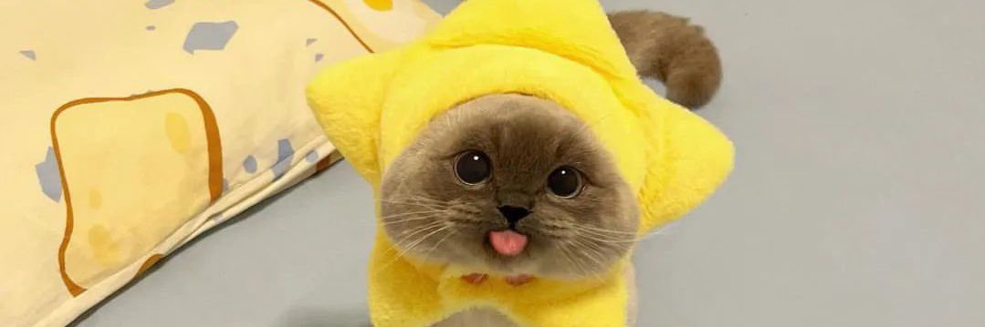 พก.🌻 (เมษาคิวว่าง) banner