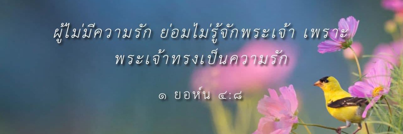 ฟาร์มเฟรนช์บลูด็อก ig:chatcha.frenchiesworld2 banner