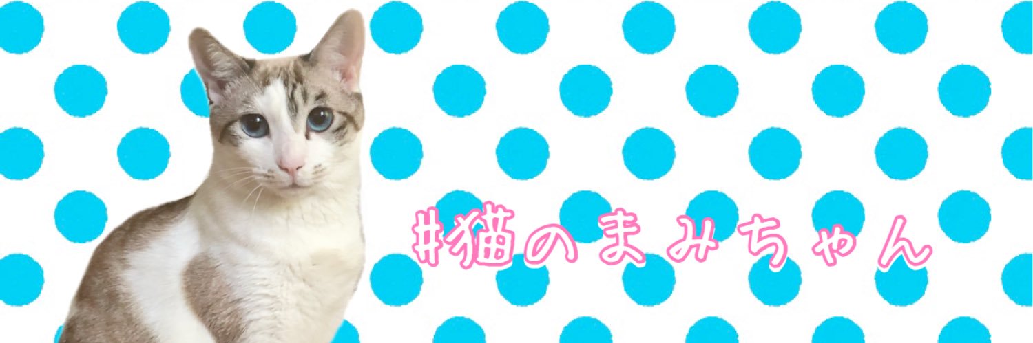 YUKIMNF's profile banner image