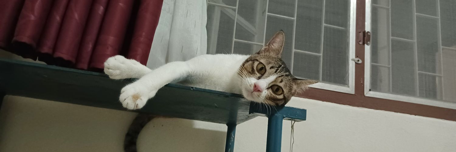 Onwipawee's profile banner image