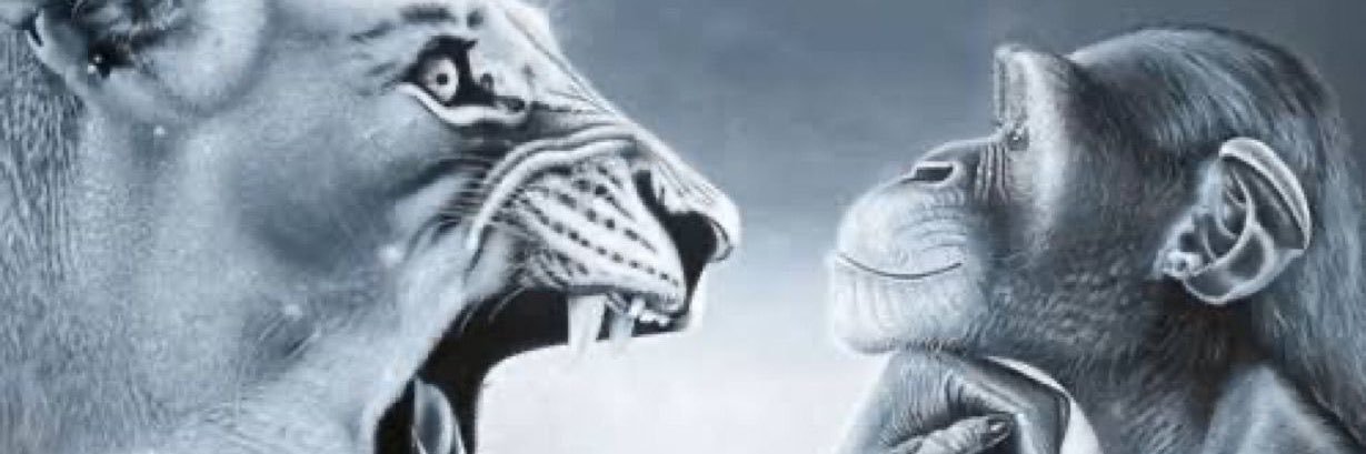 tazı banner