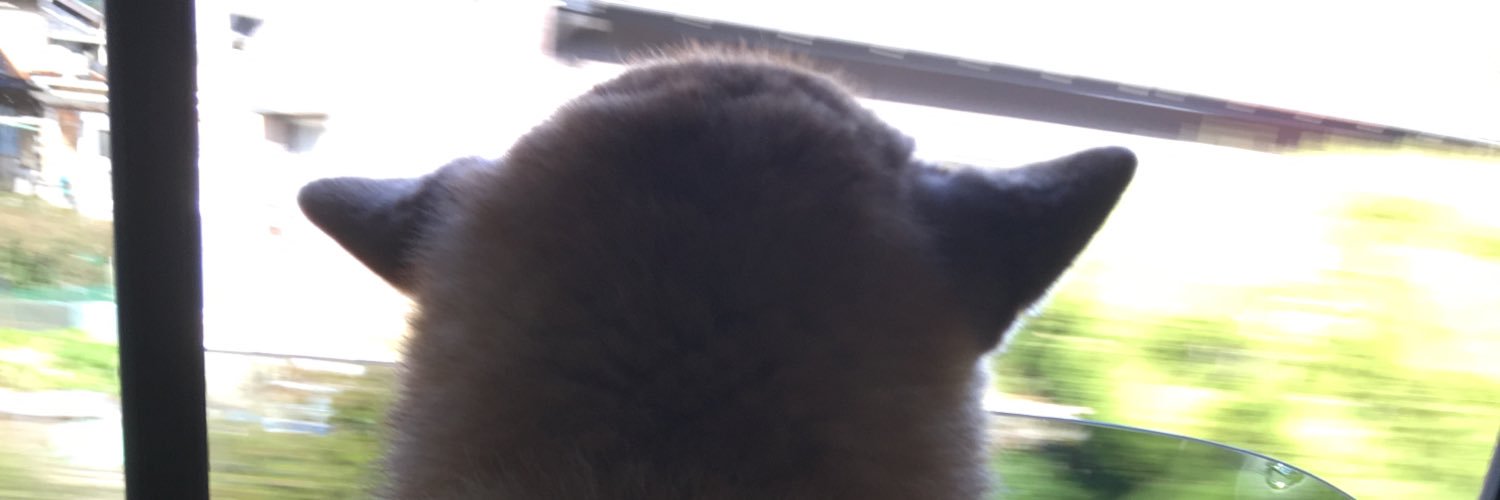 KyumomoK's profile banner image