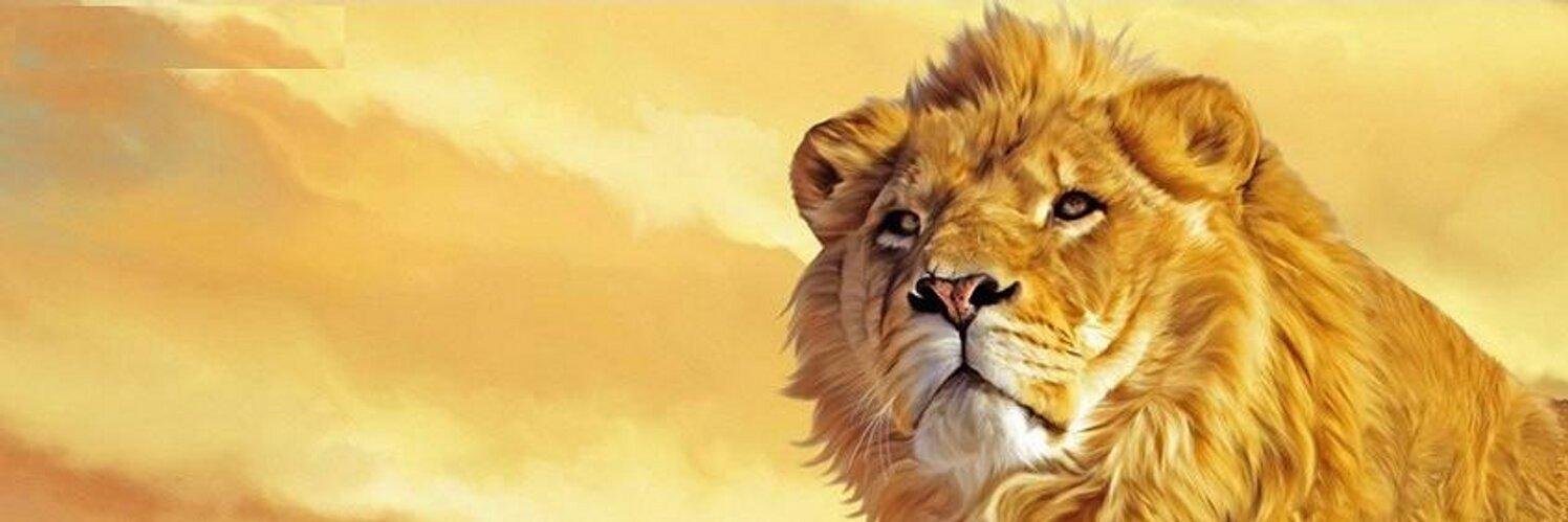yadiradiceque's profile banner image