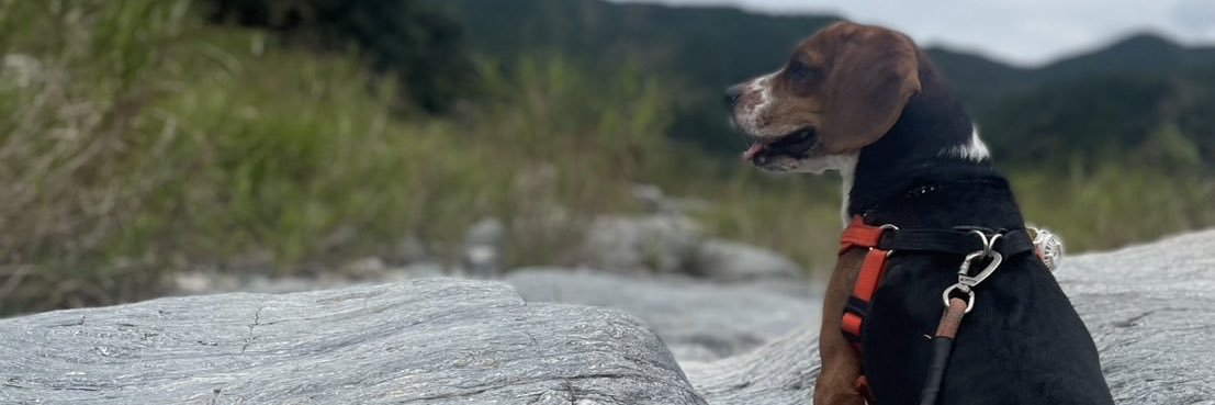 pdg0820's profile banner image