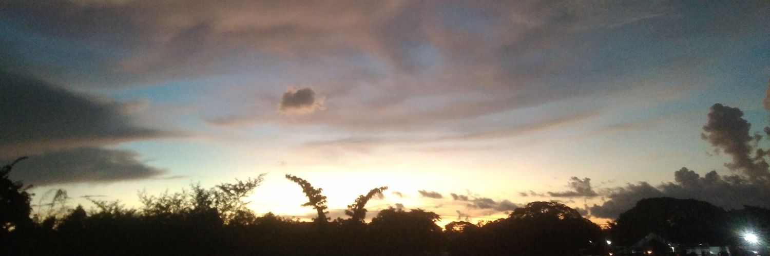 hachoous's profile banner image