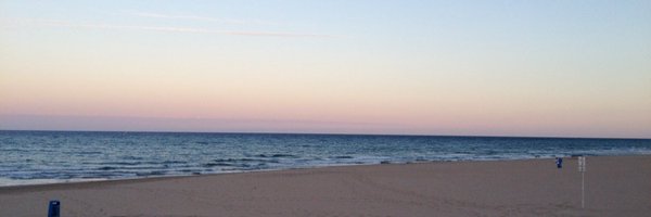 BugWayne Profile Banner