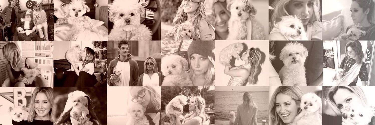 XoAshleyTis's profile banner image