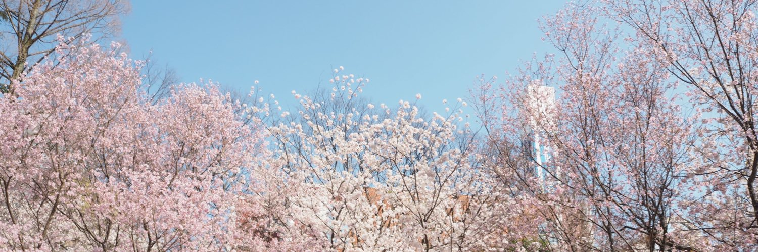 megst's profile banner image