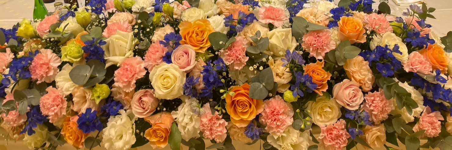 137_yu's profile banner image