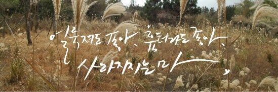 purpleugene23's profile banner image