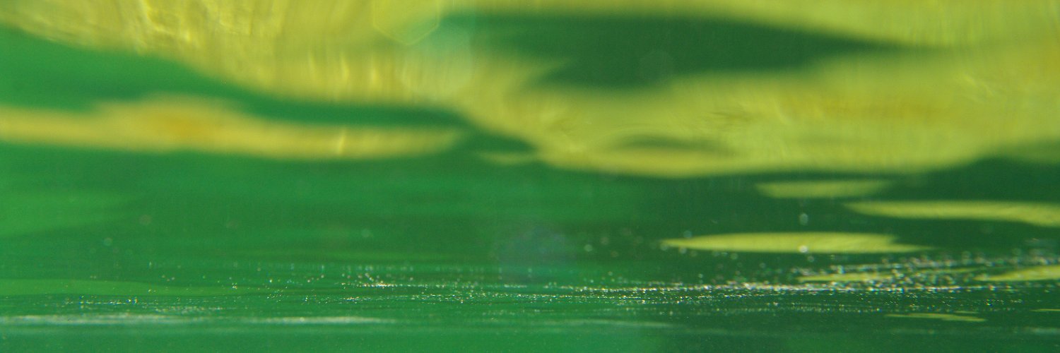thefalmon banner
