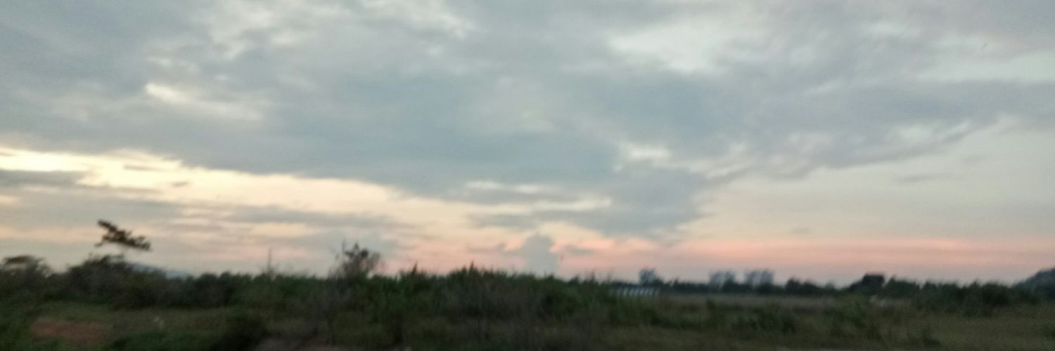 amiermn97's profile banner image