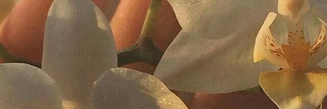 decemwishstore's profile banner image