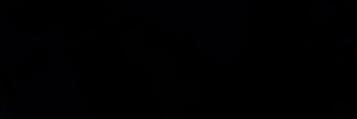 saya banner