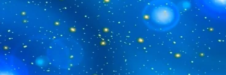 valy banner