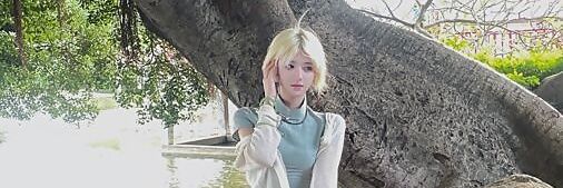 chu banner