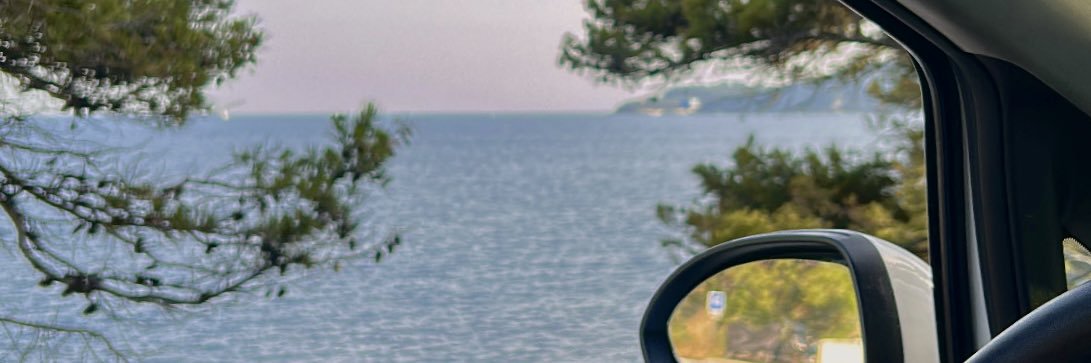 Lili. banner