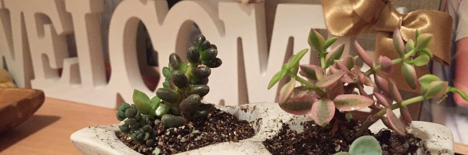 ttttomo5's profile banner image