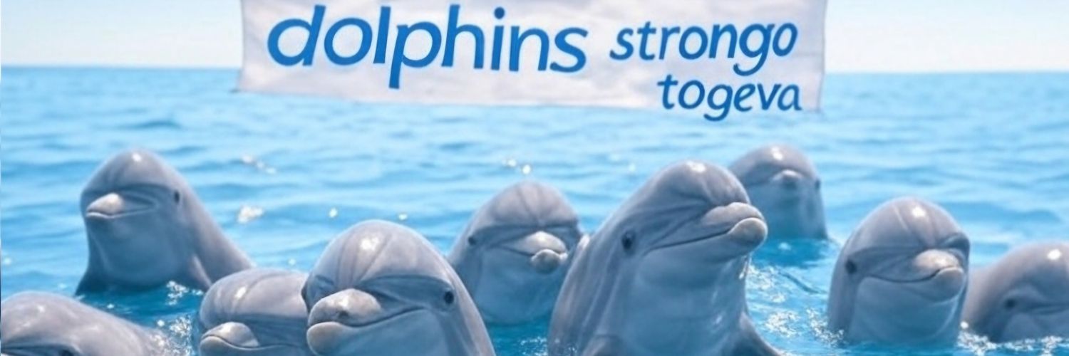 Dolphins R us banner