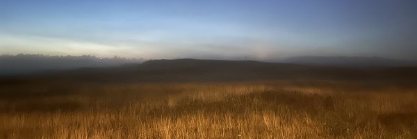 _Lucia_N Profile Banner