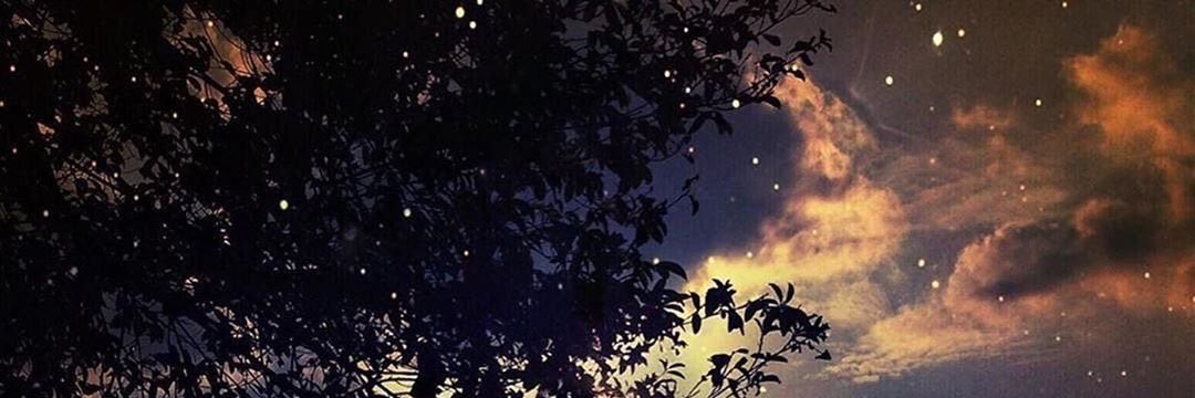 ✧❁ لِــمــاࢪ ❁✧ banner