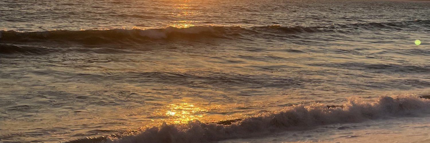 kar (ᴗ͈ ᴗ͈❀) banner