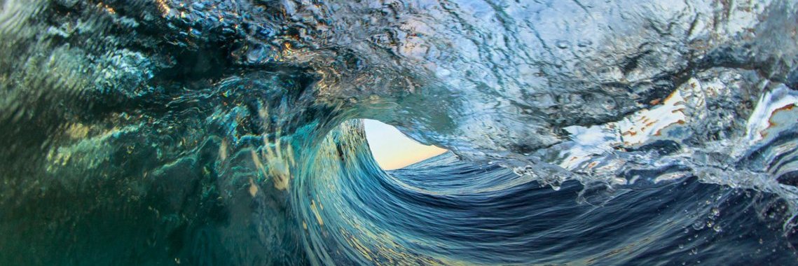 Lindsey Schwidder banner