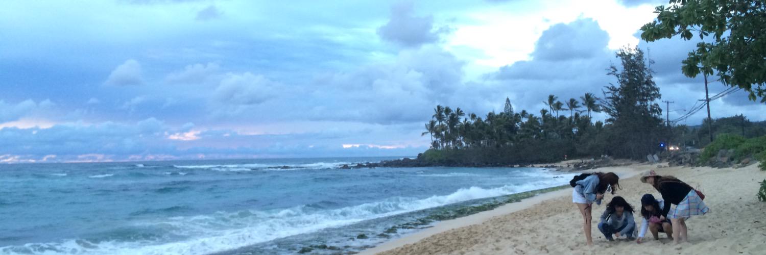 ukepi's profile banner image