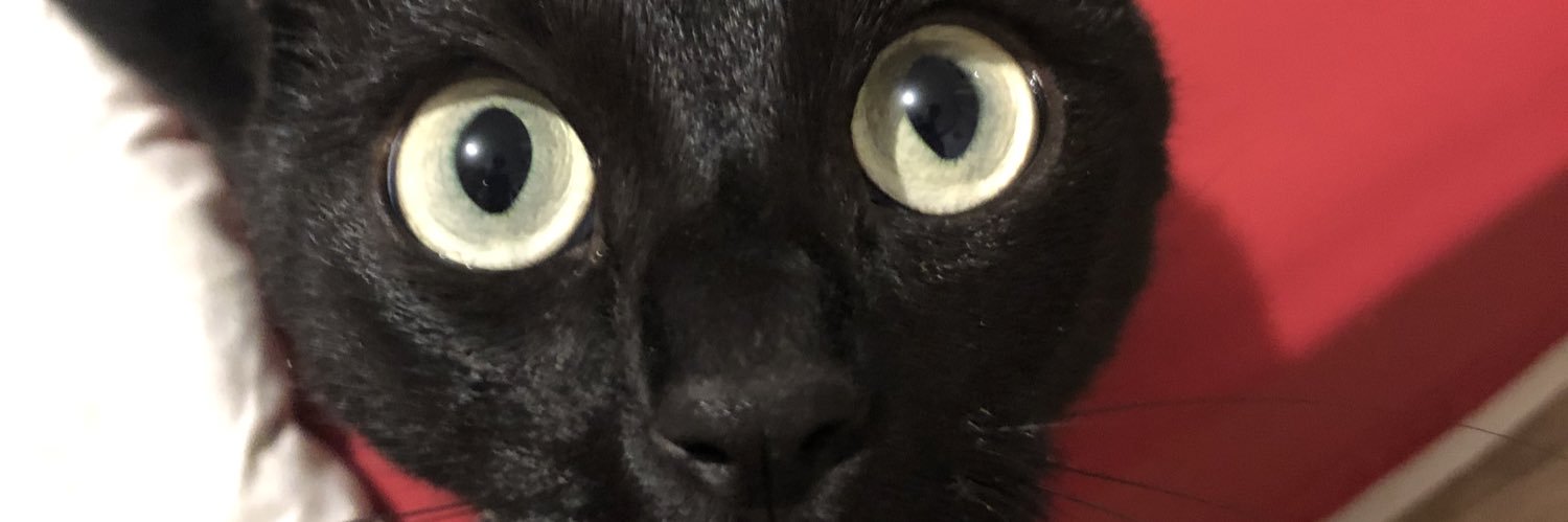 floobzz's profile banner image