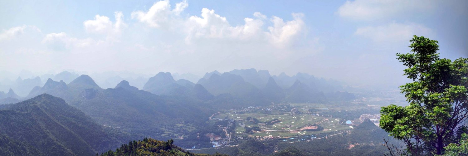 Simon Victory banner