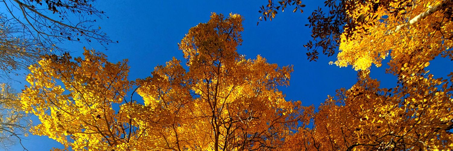 sprien2's profile banner image