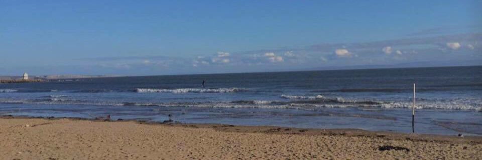 harriet_ringx's profile banner image