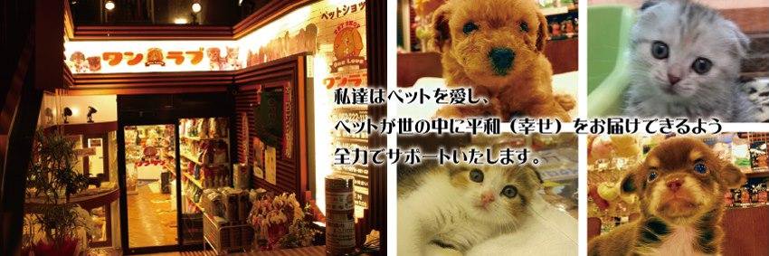 petonelove's profile banner image