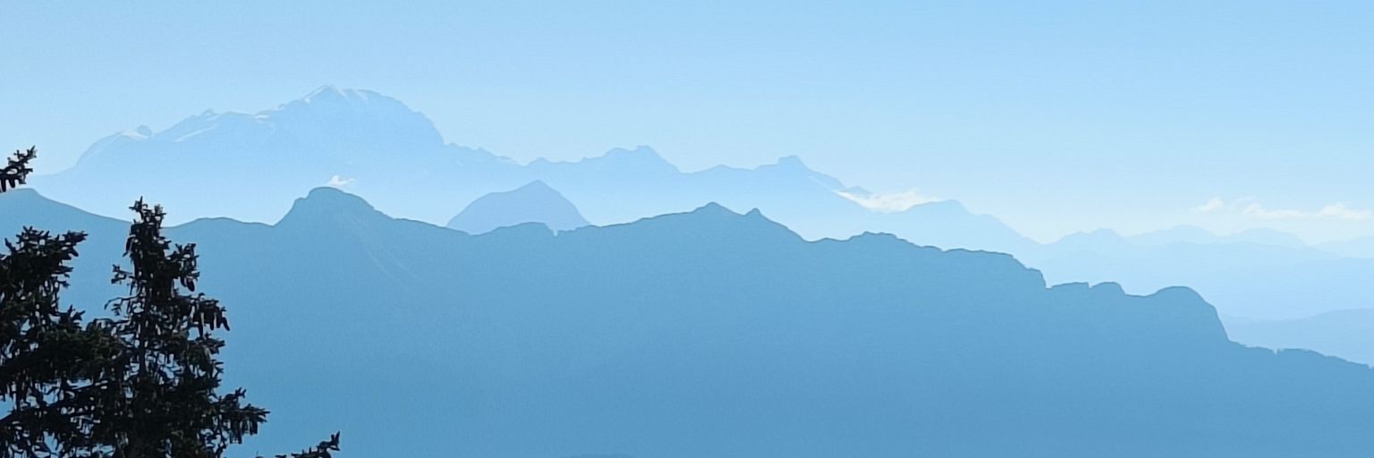 damdirt's profile banner image