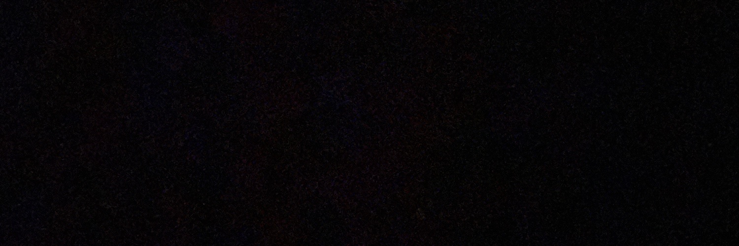 RACCOSLAM's profile banner image