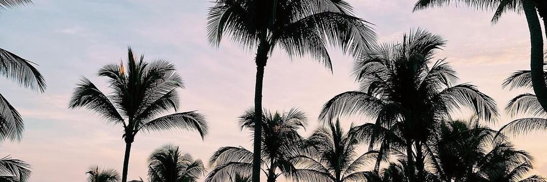 abskusuka_'s profile banner image