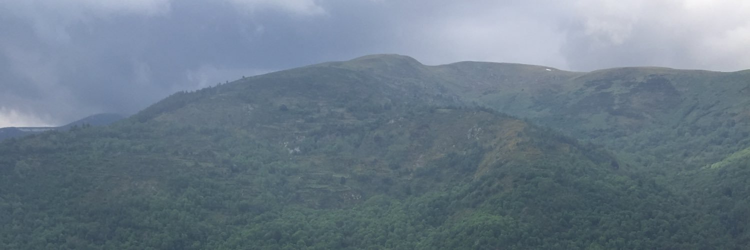 Helendebordo's profile banner image