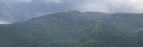 Helendebordo Profile Banner