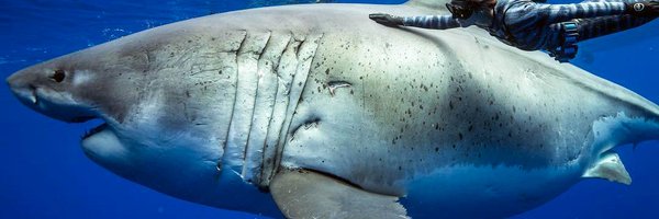 Zunnya_ Profile Banner